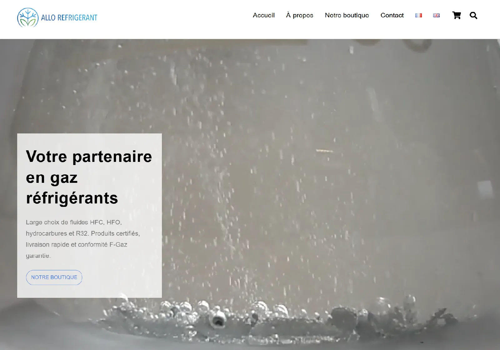 Création d’un site e-commerce sur mesure avec catalogue produits et paiement en ligne